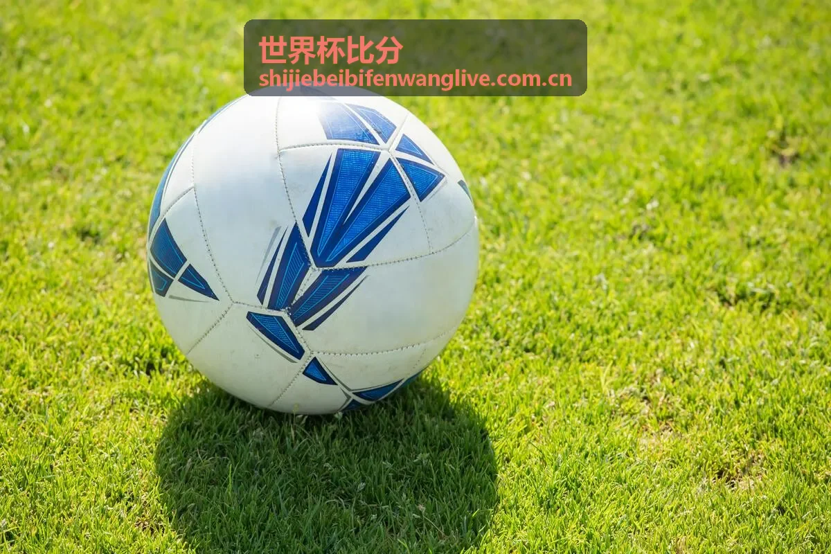 世界杯比分英超联赛实时数据